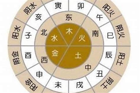 金木水火土生肖|十二生肖在金木水火土五行里各自属什么